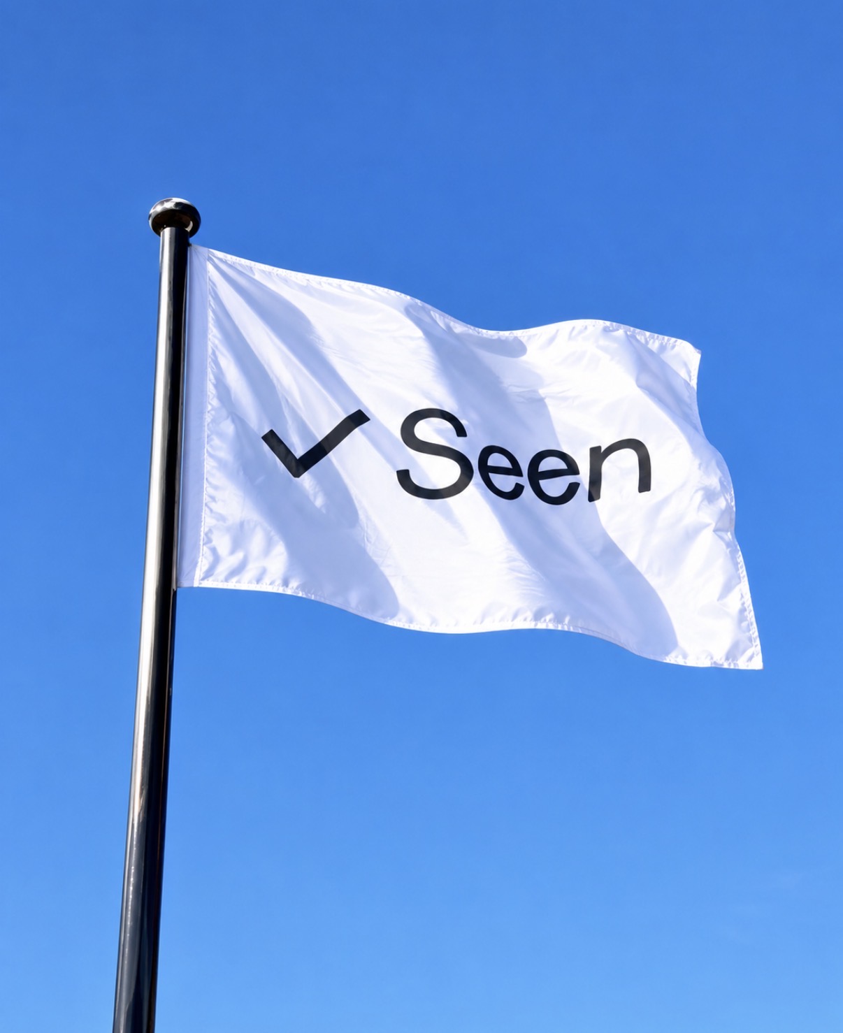 A white flag reading ✓ Seen flying against a blue sky